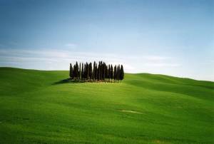 paesaggio toscano